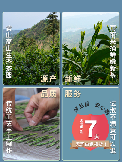 太平猴魁緑茶 - 250g缶 - 2023年春摘み
