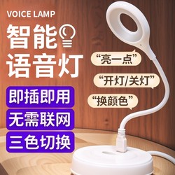Smart Voice Night Light, Talking Switch, Voice-Activated Light, USB Lighting, Bedside Lamp, Led Lamp, Eye Protection Lamp, Student Lamp