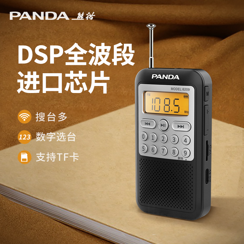 PANDA 6209 ̴   FM ߴ    뿪 DSP ī -