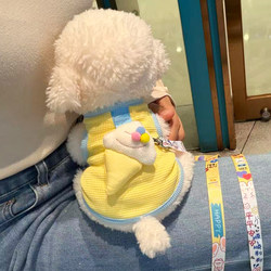 Spring and Autumn Dog Clothes, Breathable Vest for Kittens, Puppies, and Small Dogs Like Bichon Frise, Suitable for Leash Training, Thin Style for Teddy