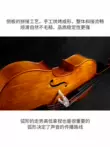 đàn tranh cổ trang Đàn Cello gỗ nguyên khối thủ công Van Aling C003 dành cho người mới bắt đầu, người lớn và trẻ em luyện tập chơi nhạc cụ sơ cấp thi cấp đàn cổ cầm giá rẻ Nhạc cụ dân tộc