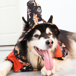 Original Pet Halloween Fantasy Night Cape Hat