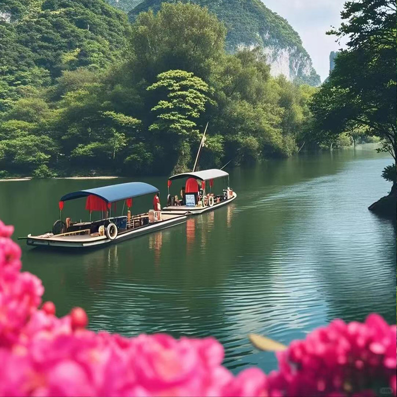 崇左靖西百色】4天游德天瀑布+古龙山漂流+白头叶猴+鹅泉+明仕