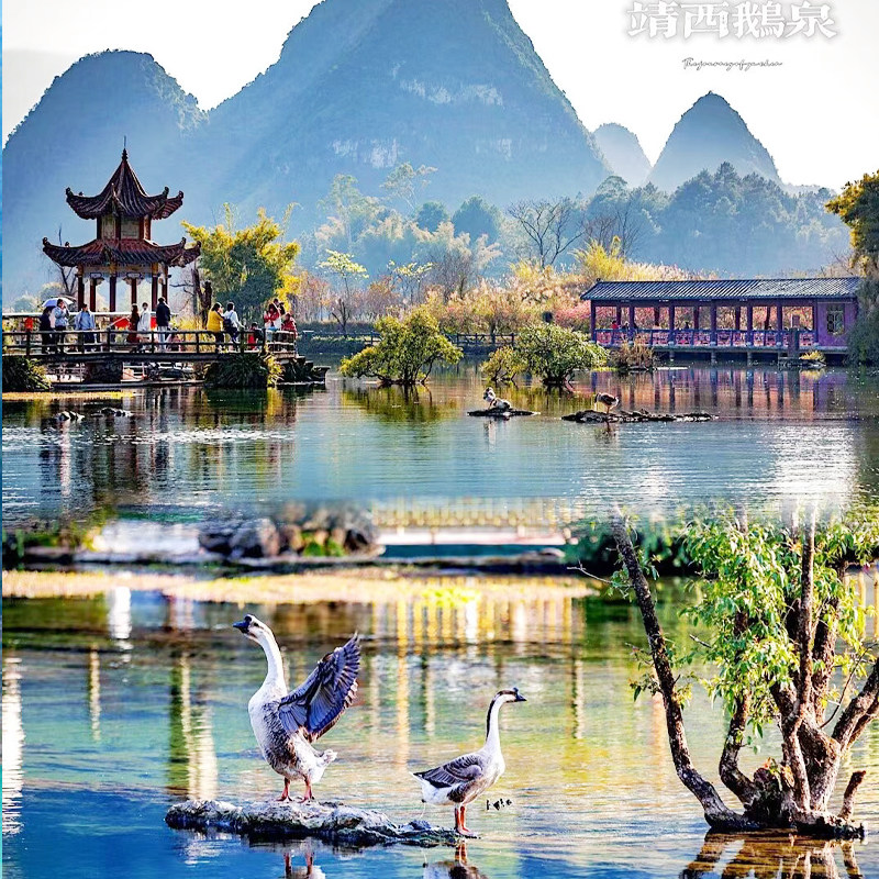 私家团】南宁崇左靖西百色3天游明仕+德天瀑布+鹅泉+浩坤湖