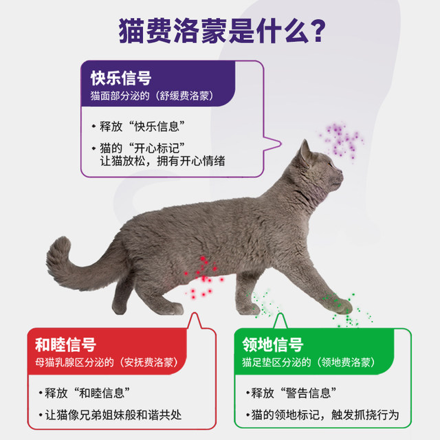 gabapentin cats stress