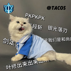 In stock, it cos full-time master pet clothing cat and dog clothes Happy Blue Rain Tiny Grass Tyranny team uniform