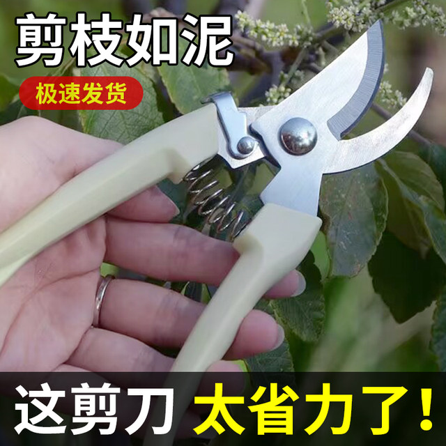 Gardening garden tool branches cutting anti -sliding handle, cutting stainless steel branches, cutting flowers, crop branches, garden scissors
