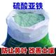 Ferrous sulfate flower fertilizer iron fertilizer gardenia jasmine millai pothos asparagus asparagus iron tree special fertilizer flower fertilizer acid fertilizer universal