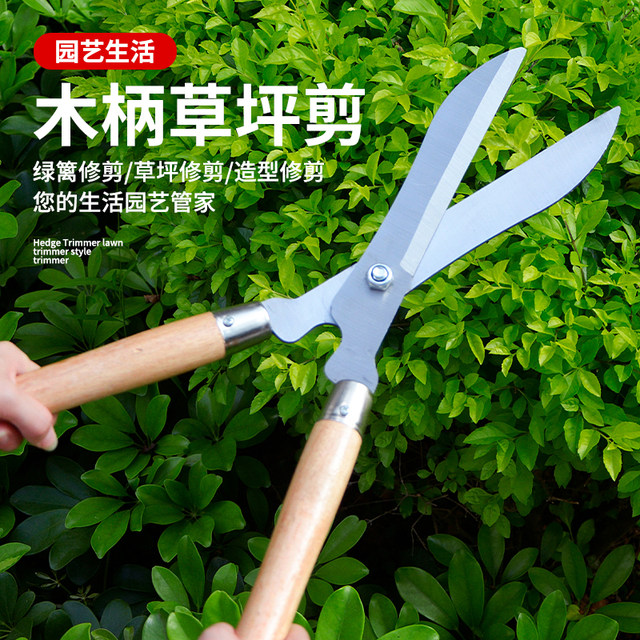 Gardening scissors lengthening large pruning and cutting flowers and plants greening household tools hedge garden pruning trees sharp branches and shears