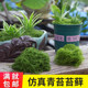 Simulated moss turf bionic artificial fake moss micro landscape layout ornaments lawn bonsai potted plants paving landscaping