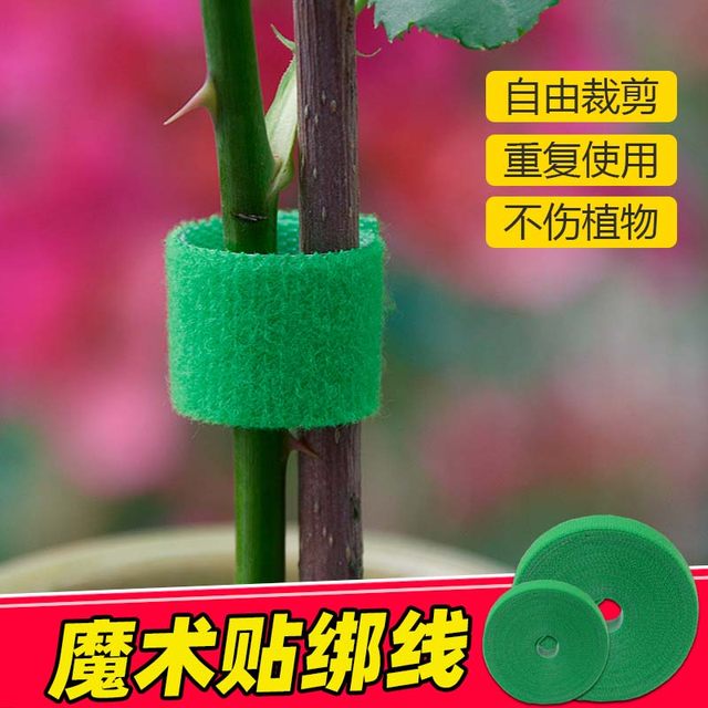 Flower tie green plants Monstera Velcro gardening wire plant bundling tie tie flower arrangement fixing tool

