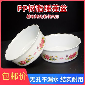 Poreless Narcissus Basin Bowl Lotus Lotus Water Lily Copper Coin Herb
