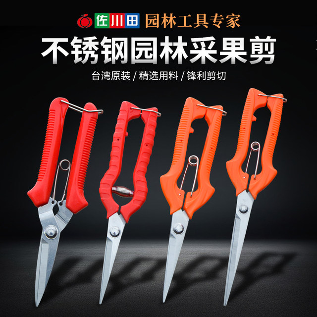 Sagawa field thin fruit picking scissors, fruit thinning, gardening twig saw, grapevine betel nut, orange citrus pruning shears