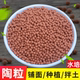 Colored ceramsite breathable ceramsite soil particles breathable green plant flower pot bottom pavement special hydroponic terracotta pellets