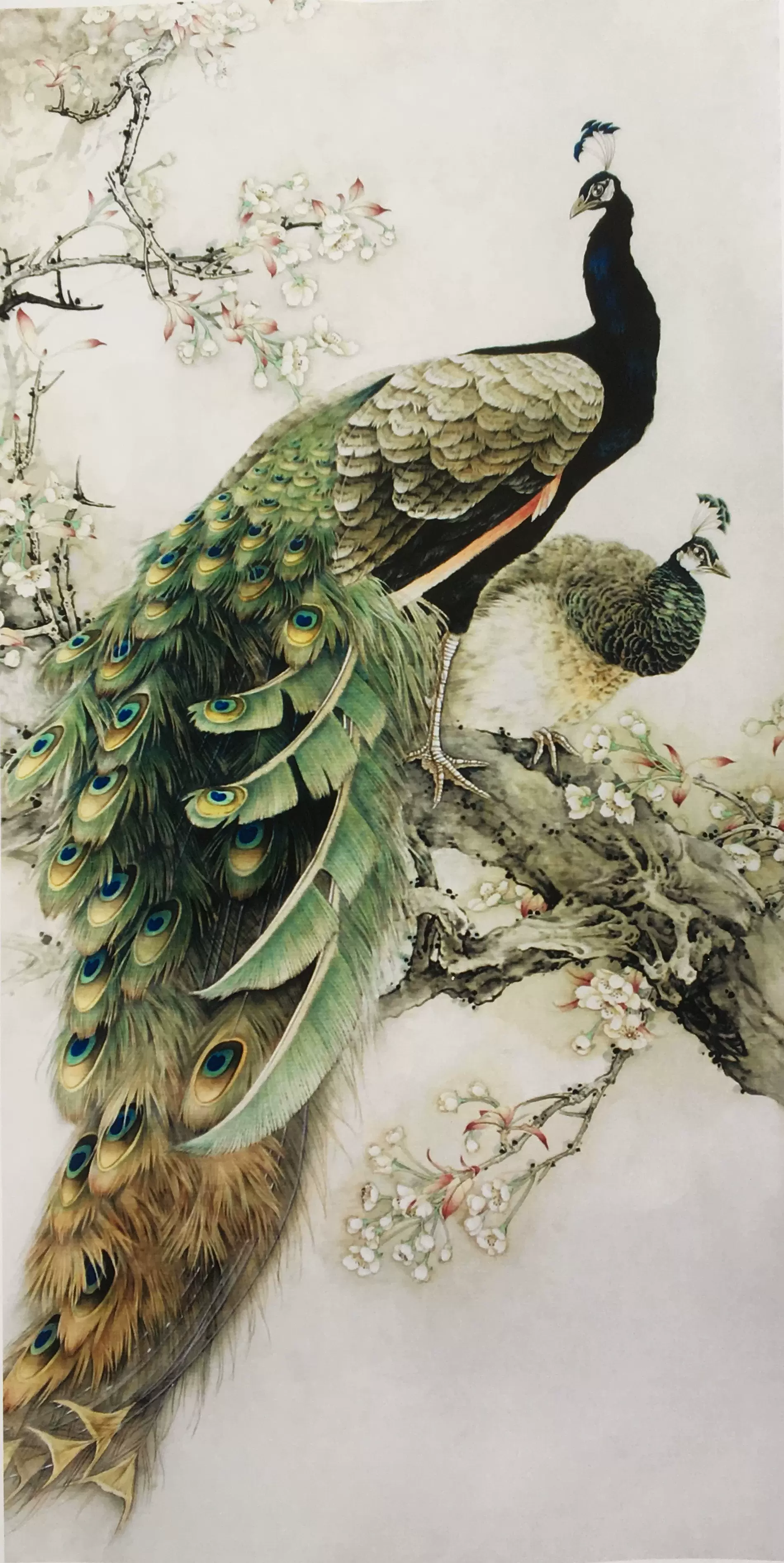工筆花鳥國畫底稿工筆豎副孔雀錦羽春輝白描1#打印稿宣紙稿