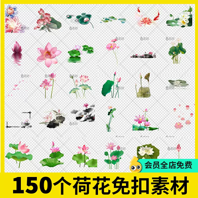 中国古美術・荷花鯉鱼図三尺画芯・啓功印款・水墨画・純手描き・文房具・宣紙・带水印 中国古美術・荷花鯉鱼図三尺画芯・啓功印款・水墨画・純手描き