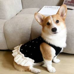 Corgi Shiba Inu Bichon Dog Clothes Spring and Summer Vest Dress Pet Princess Dress Anti-Shedding and Anti-Dirt