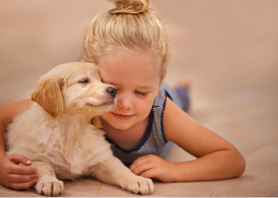 萌宠与宝宝和睦相处的秘密都在这里了