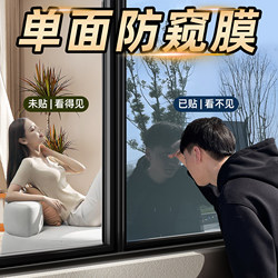 One-Way Perspective Glass Window Privacy Film, Single-Sided Light-Transmitting Window Sticker, Can'T See Inside from Outside, Single-Sided Glass Film