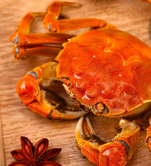 鲜香大闸蟹,美味又营养(图2) 鲜香大闸蟹,美味又营养(图2)