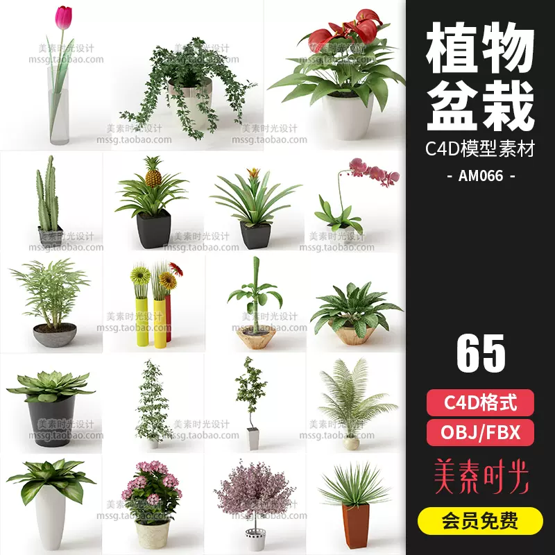 室内植物绿植花卉鲜花盆栽装饰摆件c4d模型fbx Obj 3d素材am066 Taobao