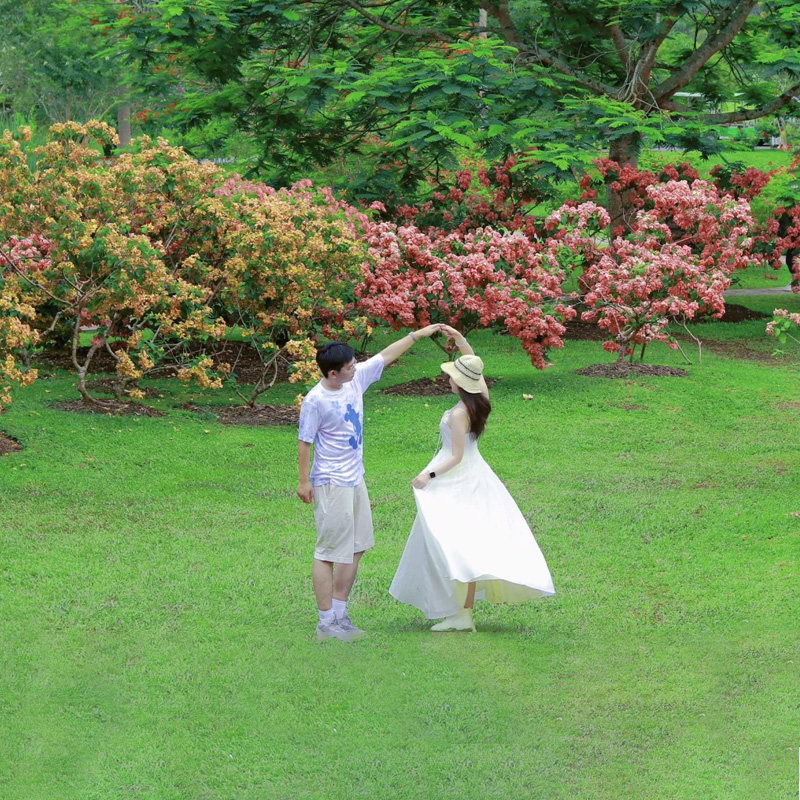 【2-6人高品小团】中科院热带植物园傣族园一日游市区酒店上门接