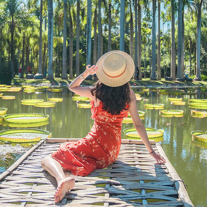 西双版纳一日游/暖冬出游/中科院热带植物园傣族园/可选15人团