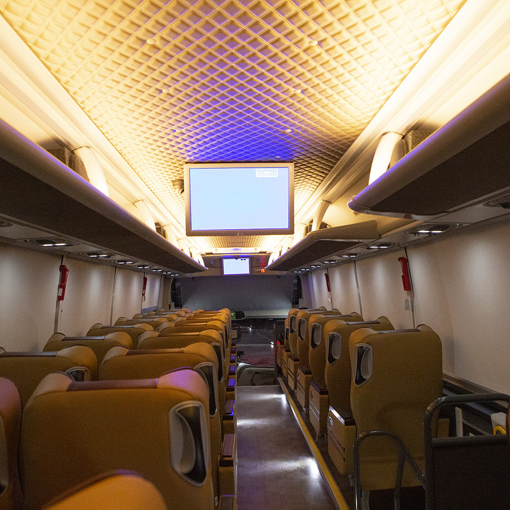 【2+1头等舱坐席+午餐】西双版纳野象谷原始森林纯玩一日游