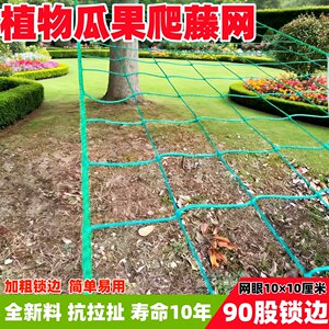 
Horticultural plant planting climbing net climbing beans passion fruit grapes loofah cucumber hanging melon bitter melon rose frame