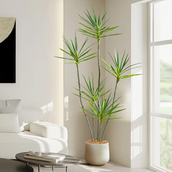 Simulated Green Plant, Millennium Tree, Indoor Living Room Balcony Decoration, High-End Light Luxury, Bionic Dragon Blood Tree, Large Floor-Standing Ornament