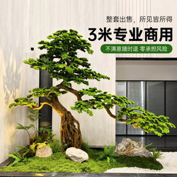 Simulated Green Plants for Landscaping, Window Displays, Commercial Corners, Corner Scenes, Interior Decoration, Artificial Trees, and Artificial Plants