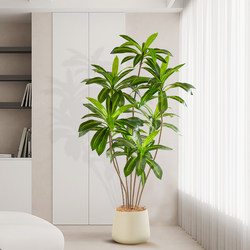 Simulated Green Plant Ornaments, Indoor Large Floor-Standing Decorative Ornaments, Bionic Brazilian Iron Potted Plants, Home Fake Trees and Plants