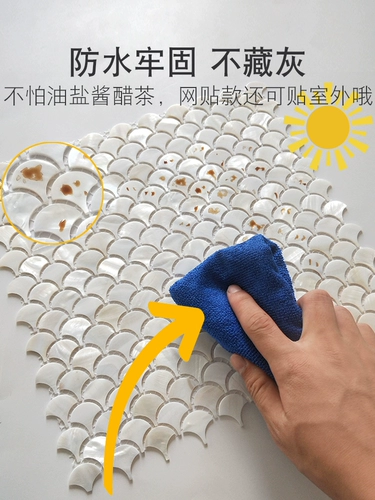 Натуральная раковина мозаика самозавира