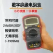 Máy đo điện trở cách điện kỹ thuật số Binjiang 500A megohmmeter điện tử nhỏ gọn tiện lợi 1000V500V250