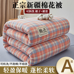 New Skin-Friendly Washable Cotton Quilt Xinjiang Cotton Quilt Removable and Washable Quilt Student Dormitory Quilt Core Winter Quilt Spring and Autumn Quilt
