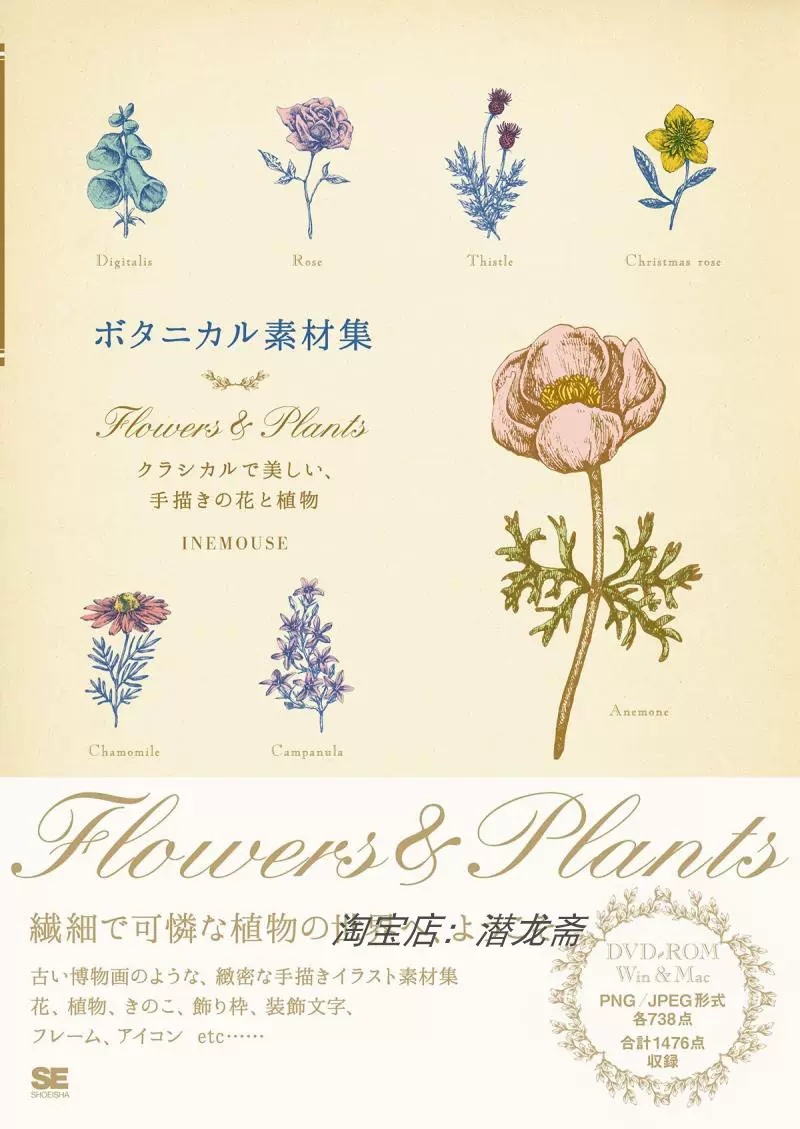 ボタニカル素材集flowers Plants 下预