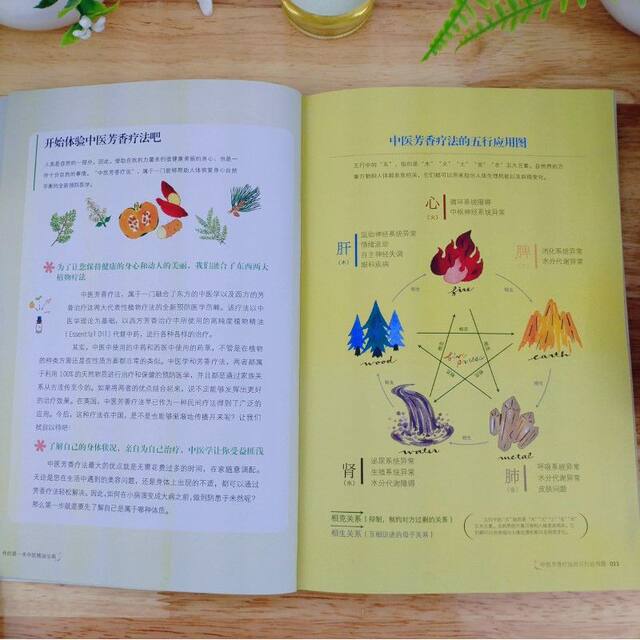 Illustration of my first traditional Chinese medicine essential oil