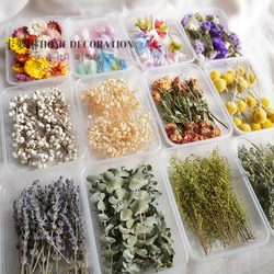 Miniature Dried Flowers of Gypsophila and Eucalyptus, Rose Flower Heads in a Box, DIY Photo Frame Resin Dried Flower Materials, Naturally Air-Dried