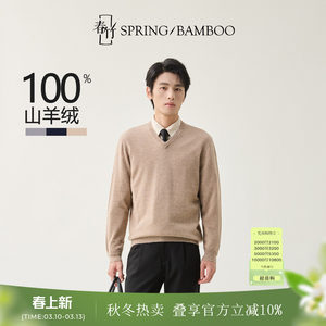 
Chunzhu 100% cashmere comfortable and versatile autumn and winter new knitted sweater V-neck top men's cashmere sweater