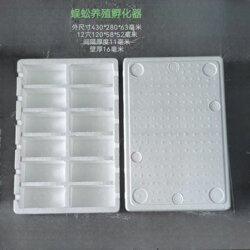 Centipede Breeding Incubator Breeding Box Centipede Breeding Box 12-Hole Container for Raising Centipedes Foam Box Super Hard Foam