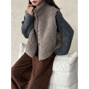 
Women's coat winter 2025 new wool suede fur one-piece sleeveless vest women's lamb wool vest top