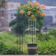 Medium-sized gardening flower stand single double circle umbrella-shaped multi-ring climbing pergola clematis climbing frame plant rose flower stand