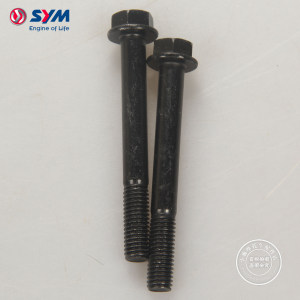 SYM 厦杏三阳 凤凰 巡弋150 飞度4/5 小蚂蚁 小钢侠/炮 后叉螺丝