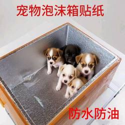 Waterproof and Rainproof Warm Pet Renovation Cat Box Transformation Film Outdoor Cardboard Box Stray Sticker DIY Aluminum Foil Nest Foam