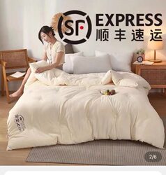   Winter Quilt Core, down Quilt, Thickened and Warm Winter Quilt, Spring and Autumn Mattress, Single, Double, Student Dormitory