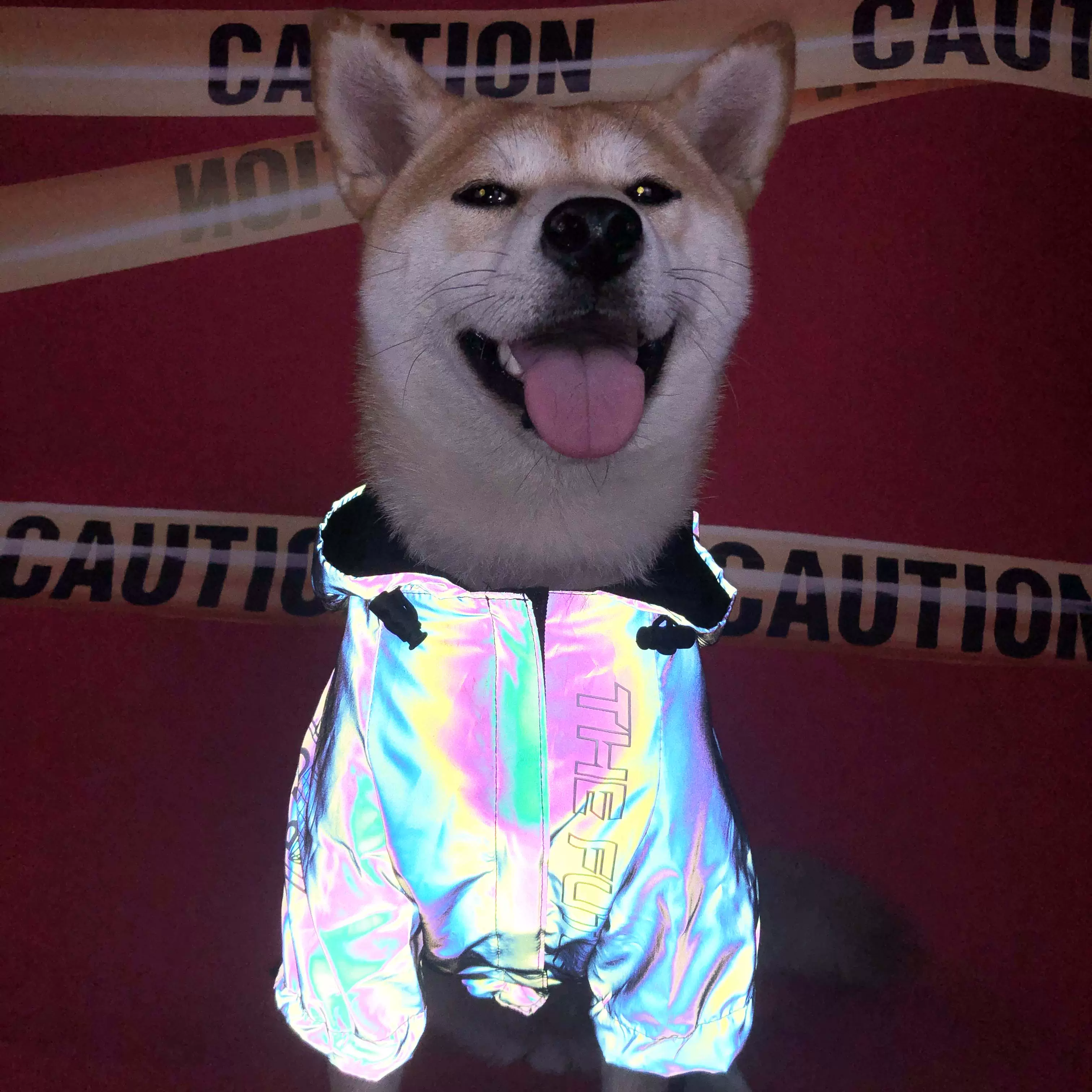 狗狗衣服秋装新款反光冲锋衣防水中小型犬柴犬泰迪雪纳