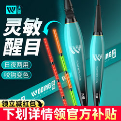 Woding Luminous Float with Color-Changing High-Sensitivity Fishing Float Set, Dual-Use for Day and Night, Ultra-Bright Electronic Float for Wild Carp Fishing
