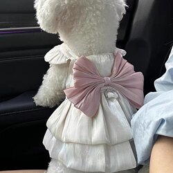 Pet Clothes Summer Thin Breathable Flowing Gauze Princess Dress for Teddy, Bichon, Dogs and Cats for Outdoor Use with Leash
