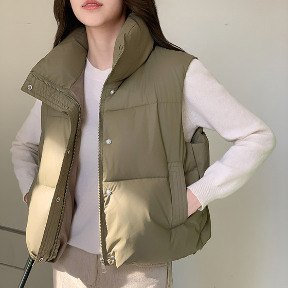 
2025 new Korean version of down cotton vest for women, small short vest, fashionable casual horse clip stand collar vest trendy