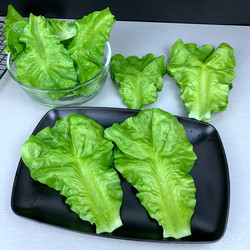 Simulated Vegetable Plastic Soft Rubber Model of Lettuce Leaves, Lotus Leaves, and Star Anise Leaves for Catering Display and Soft Decoration Props